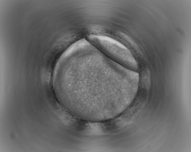 X0000111360417200908071157