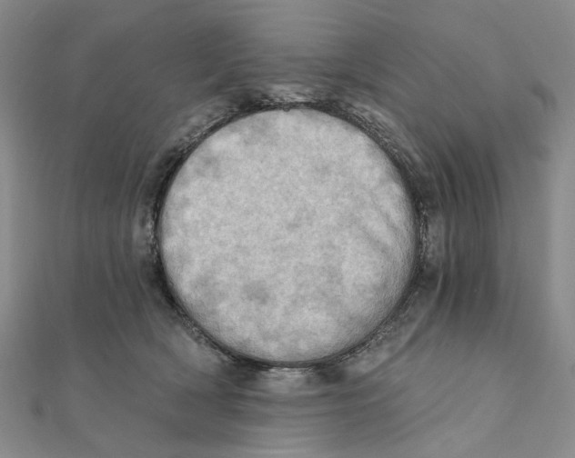 X0000111360418200908071157