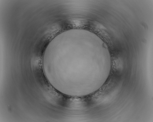 X0000111360419200908071157