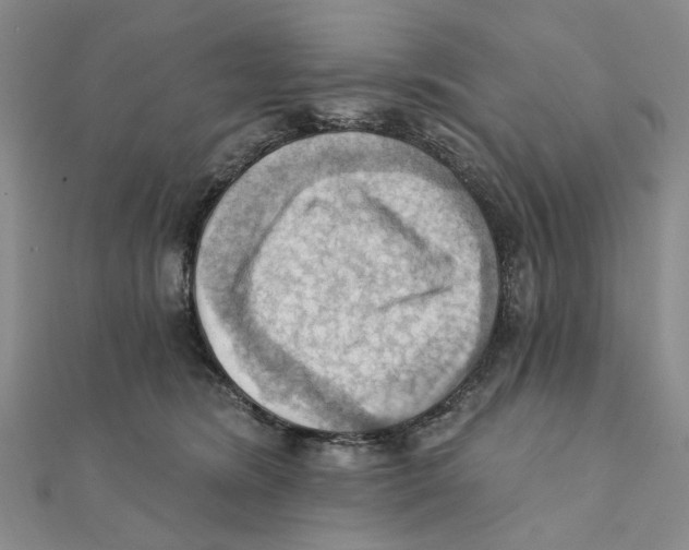 X0000111360420200908071157