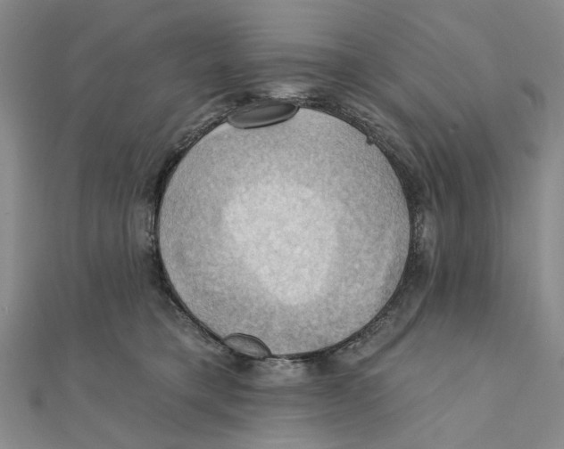 X0000111360421200908071157