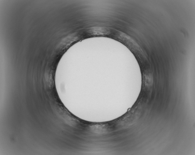 X0000111360422200908071157