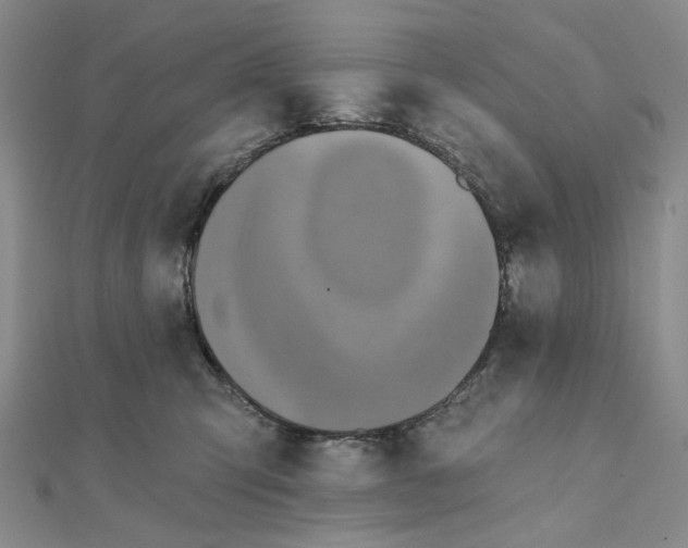 X0000111360423200908071157