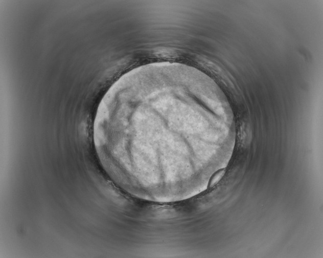 X0000111360424200908071157