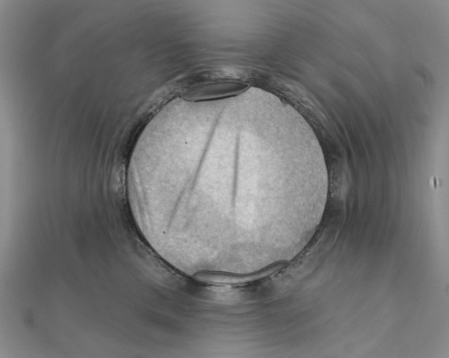 X0000111360425200908071157