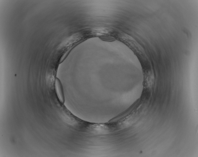 X0000111360427200908071157