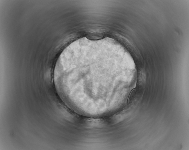 X0000111360428200908071157