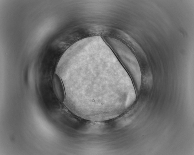 X0000111360429200908071157