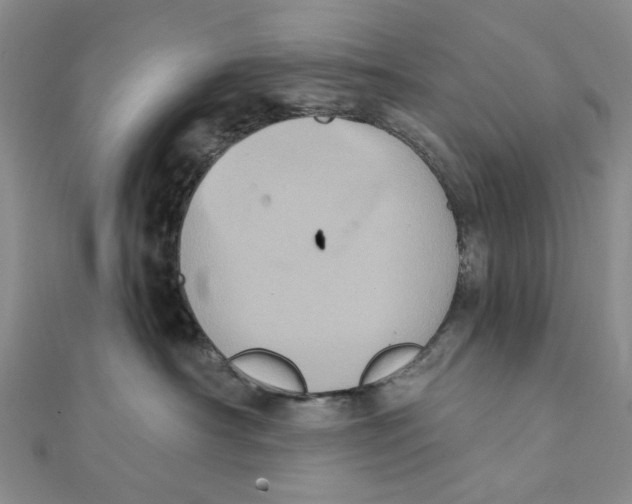 X0000111360430200908071157