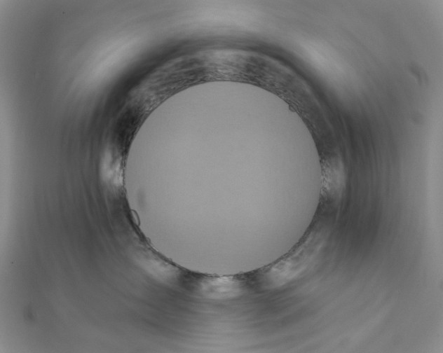 X0000111360431200908071157