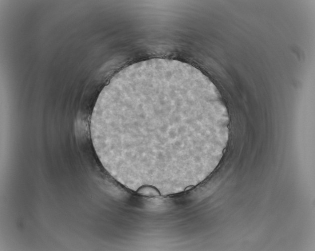 X0000111360432200908071157