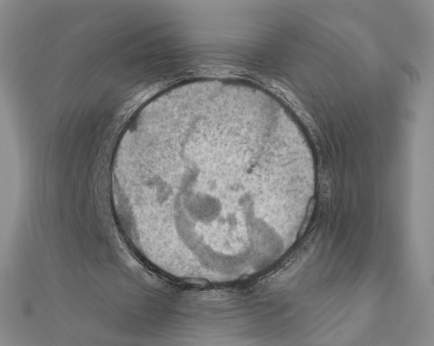 X0000111360433200908071156