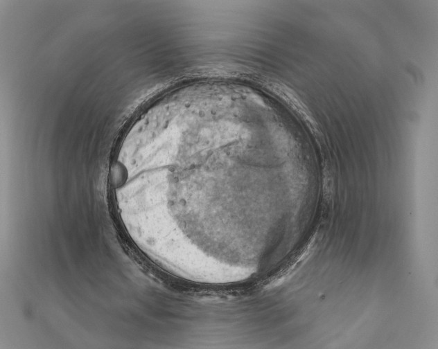 X0000111360434200908071156