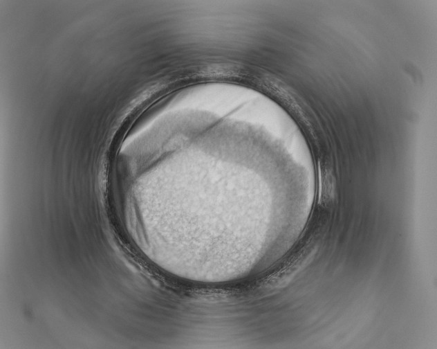 X0000111360435200908071156