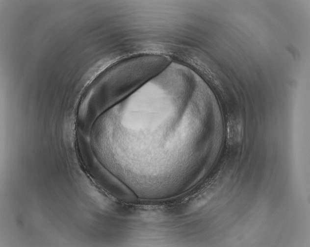 X0000111360436200908071156