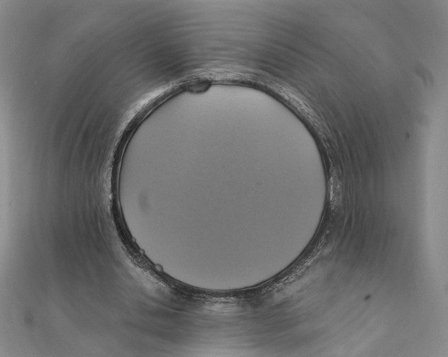 X0000111360438200908071156