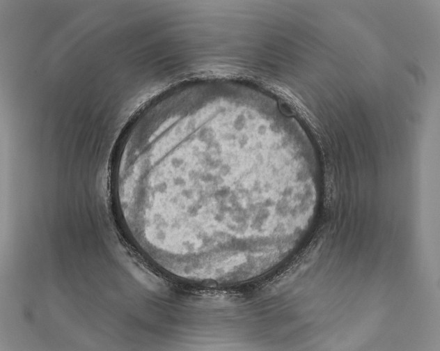 X0000111360439200908071156