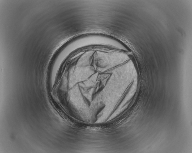 X0000111360440200908071156