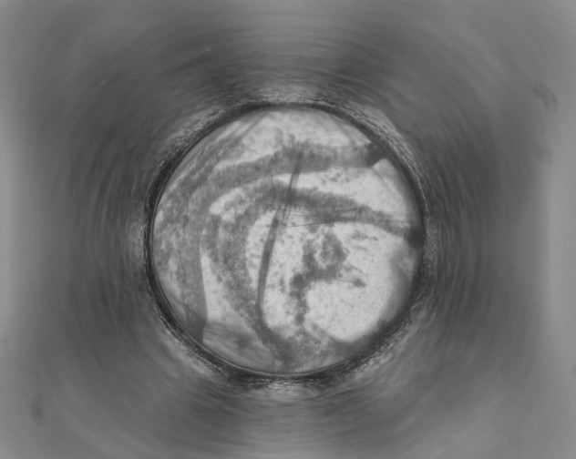 X0000111360441200908071156