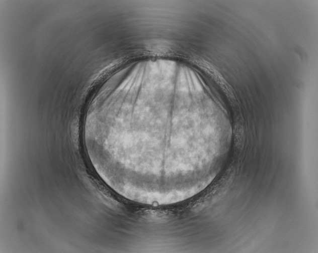 X0000111360442200908071156