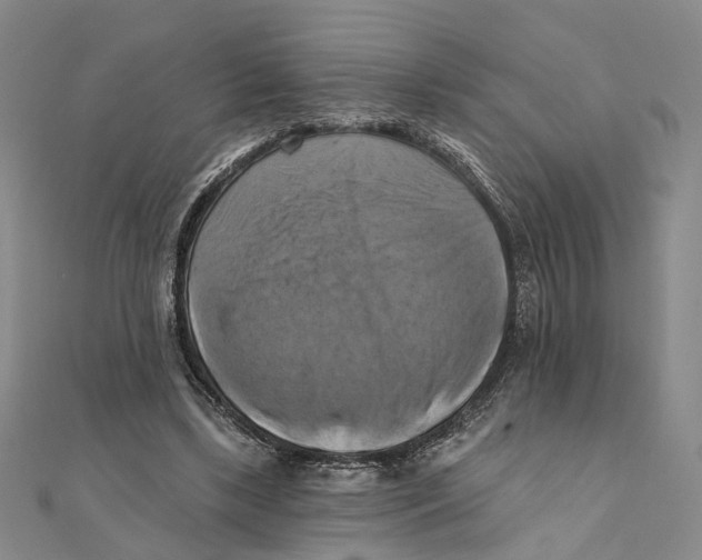 X0000111360443200908071156