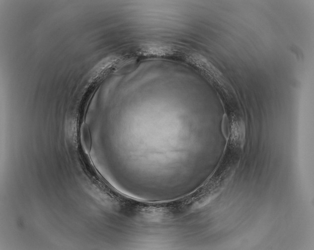 X0000111360444200908071156