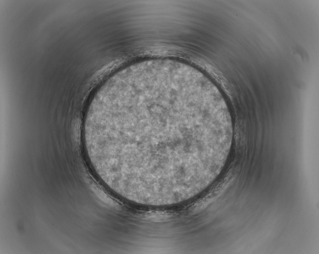 X0000111360445200908071156