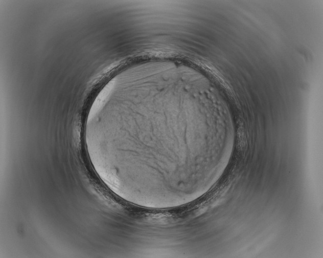 X0000111360446200908071156