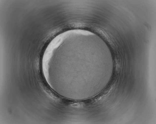 X0000111360447200908071156