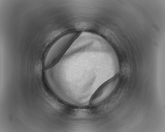 X0000111360448200908071156