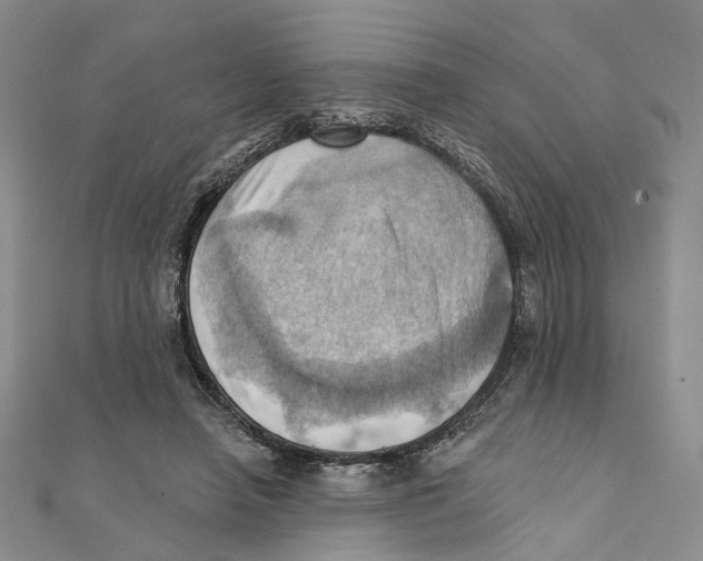 X0000111360450200908071156