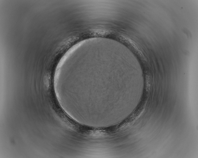 X0000111360451200908071156