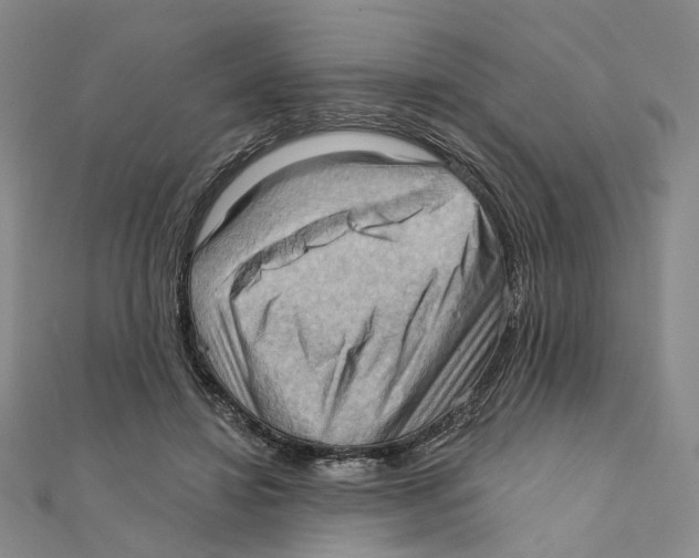 X0000111360452200908071156