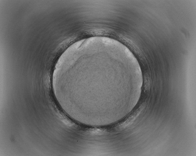 X0000111360453200908071156