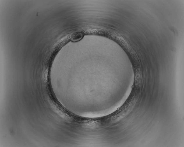 X0000111360454200908071156