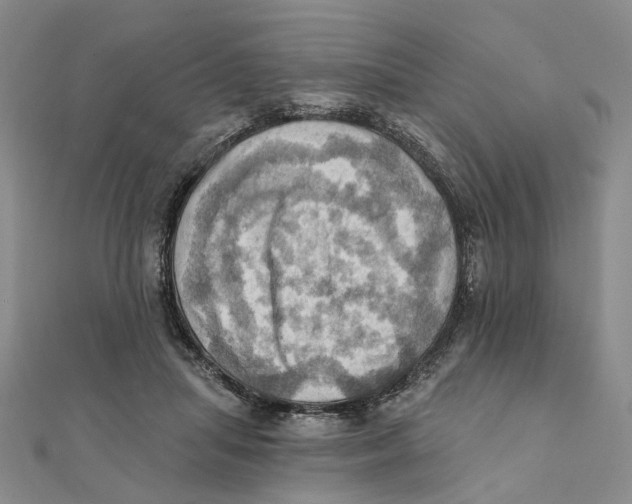 X0000111360455200908071156