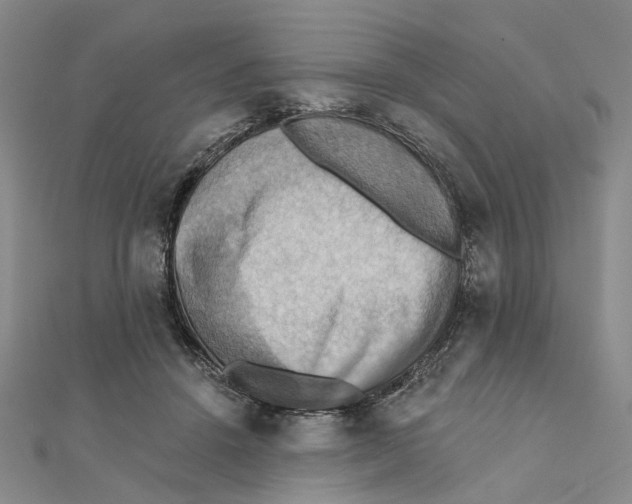 X0000111360456200908071156