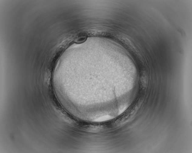 X0000111360458200908071156