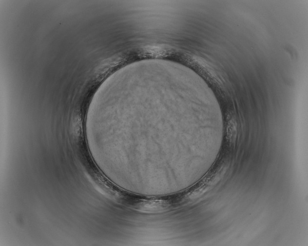 X0000111360459200908071156