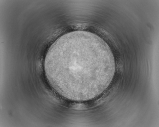 X0000111360460200908071156