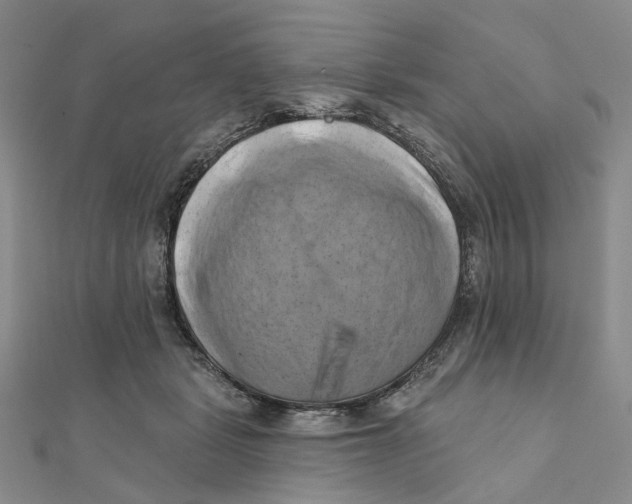 X0000111360461200908071156