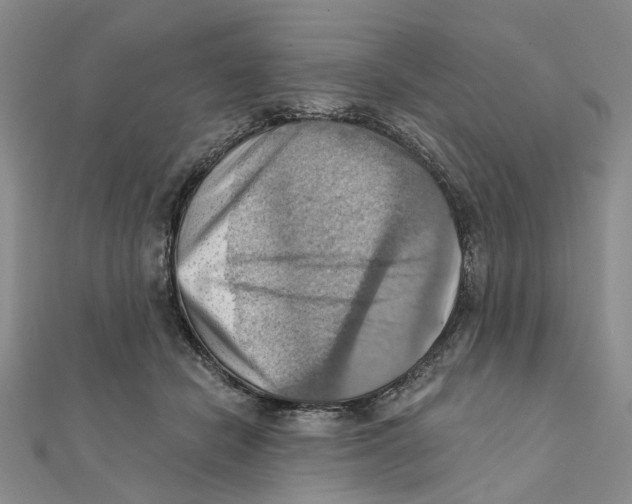 X0000111360462200908071156