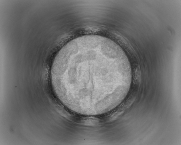 X0000111360463200908071157