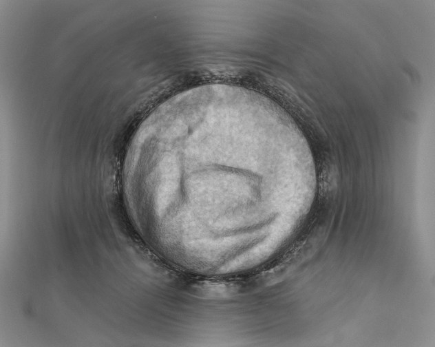 X0000111360464200908071157