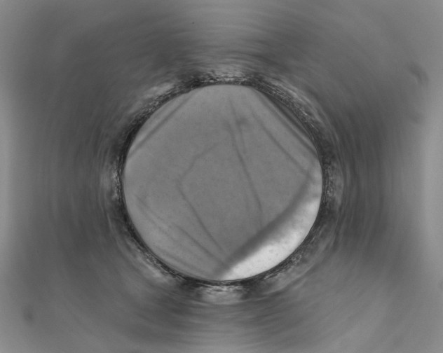 X0000111360465200908071157