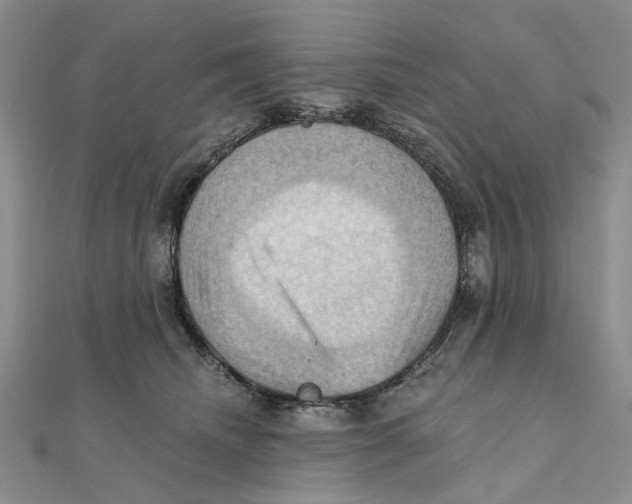 X0000111360468200908071157