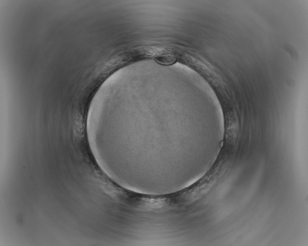 X0000111360469200908071157