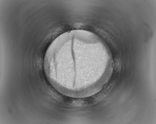 X0000111360470200908071157