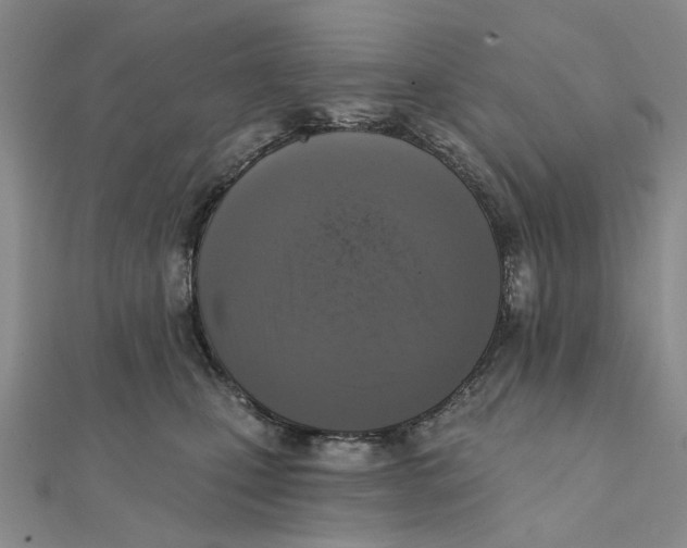 X0000111360471200908071157