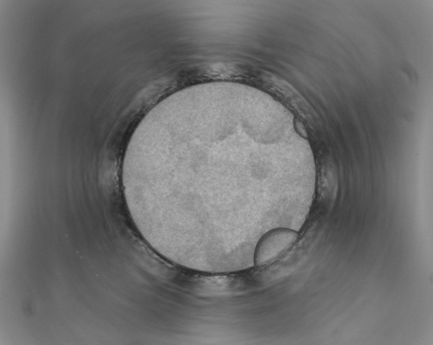 X0000111360473200908071157